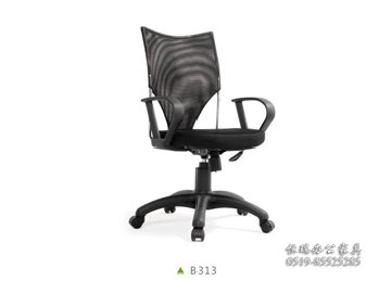 B313-尼